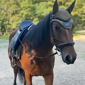 Абонементи